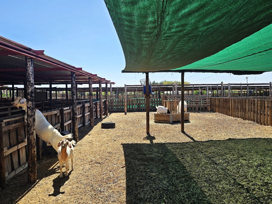 2 Bedroom Property for Sale in Upington Rural Northern Cape